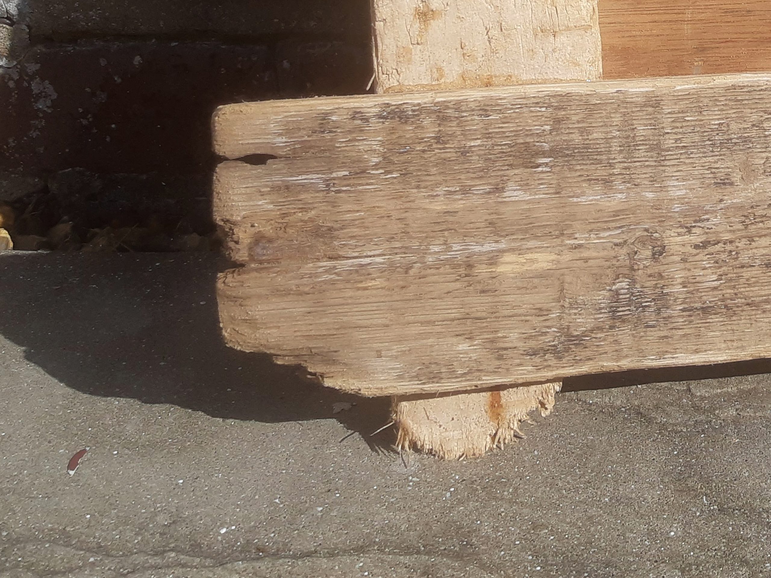 Frame 2